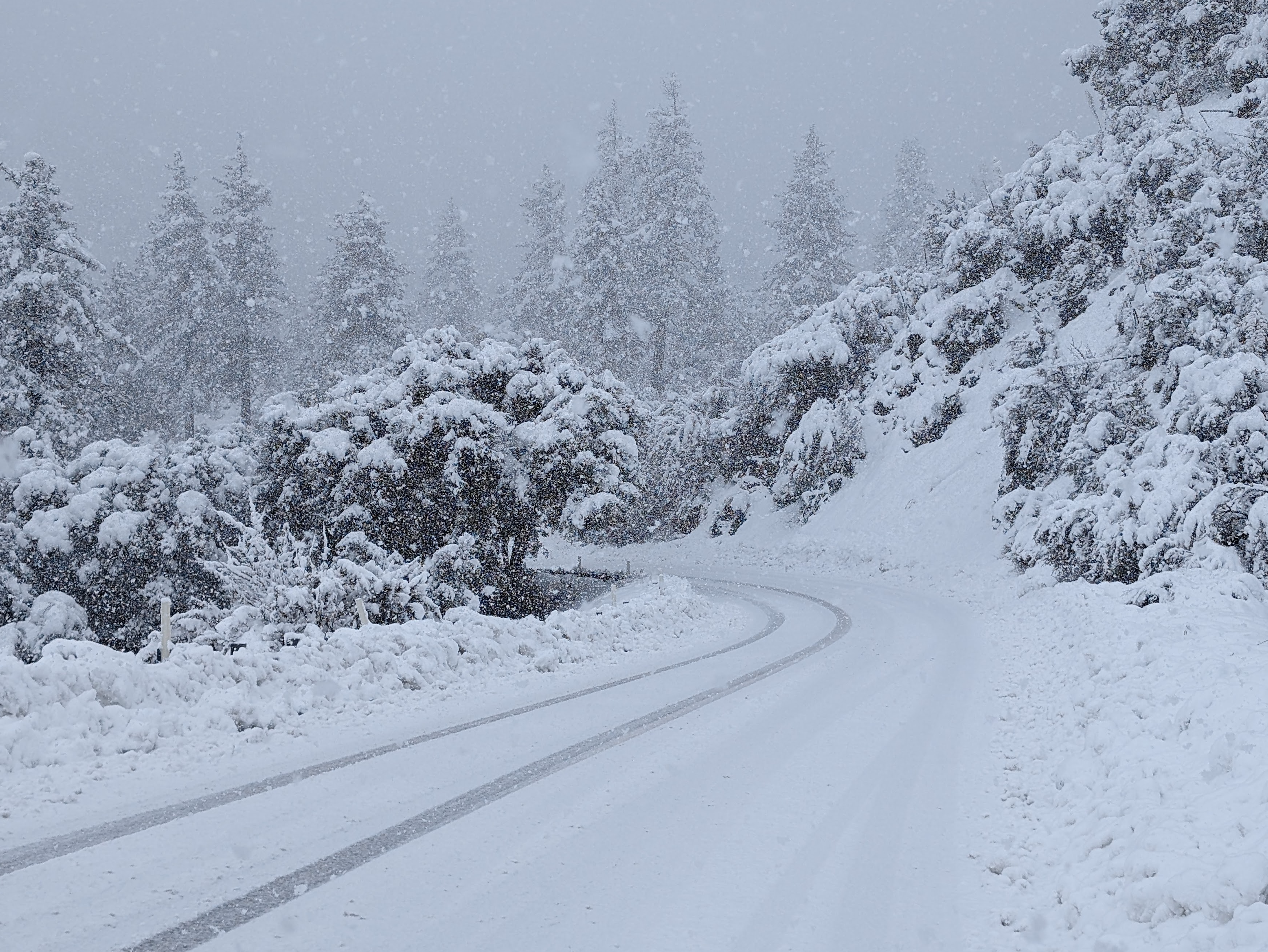 🌮 Taco Tuesday: An Impromptu Snowfall Trip to Wrightwood with Mazhar 2