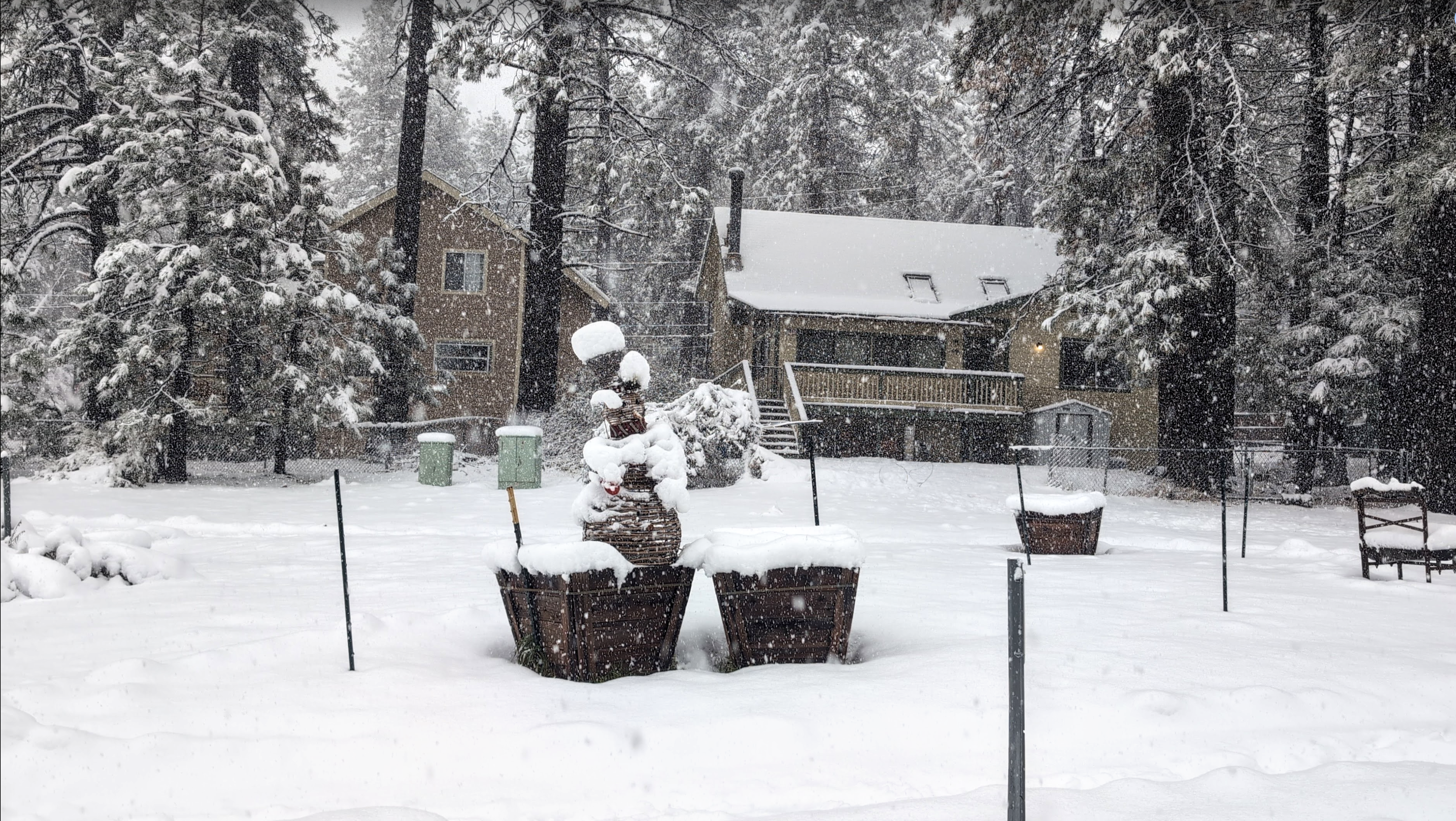 ❄️ Taco Tuesday: An Impromptu Snowfall Trip to Wrightwood with Mazhar 6